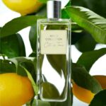 ادکلن مردانه سیتروس تونیک